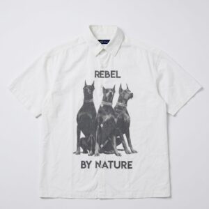 Shop img 1421