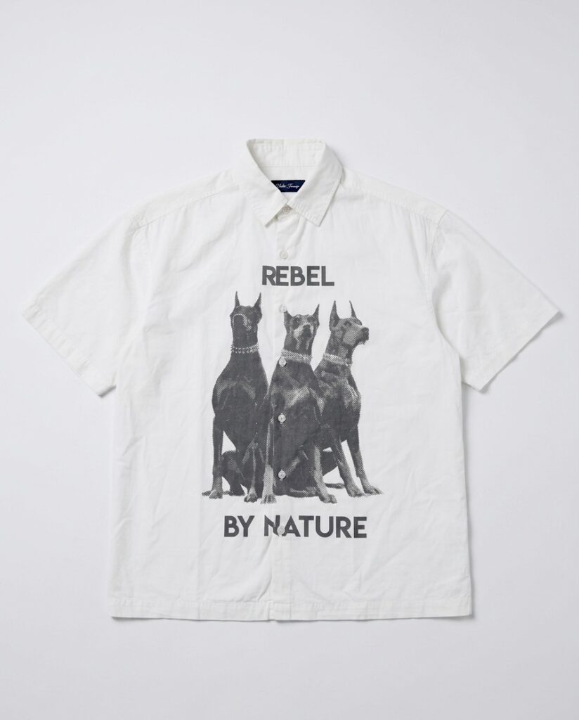 Shop img 1421